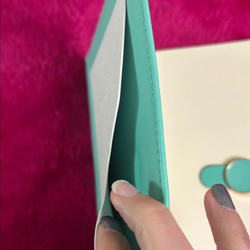 Tiffany & Co. Aqua and White Journal - Picture 3 of 6